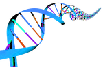 DNA Clipart