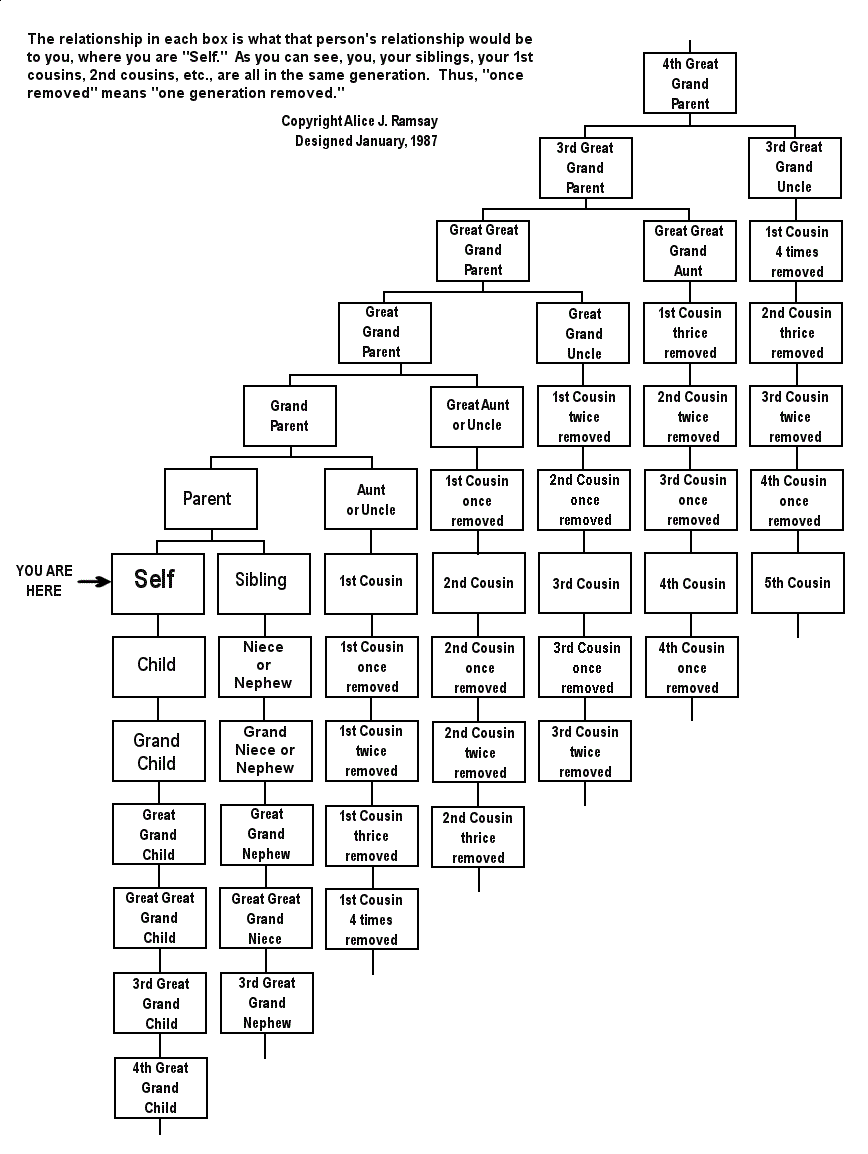 A chart showing
                the relationships between members of a family